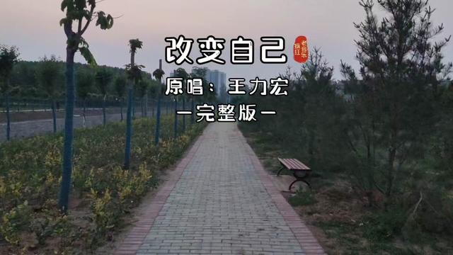 2007年流行歌曲,第21集,《改变自己》王力宏