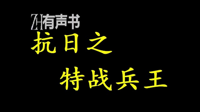 抗日之特战兵王【ZH感谢收听ZH有声便利店免费点播有声书】哔哩哔哩bilibili