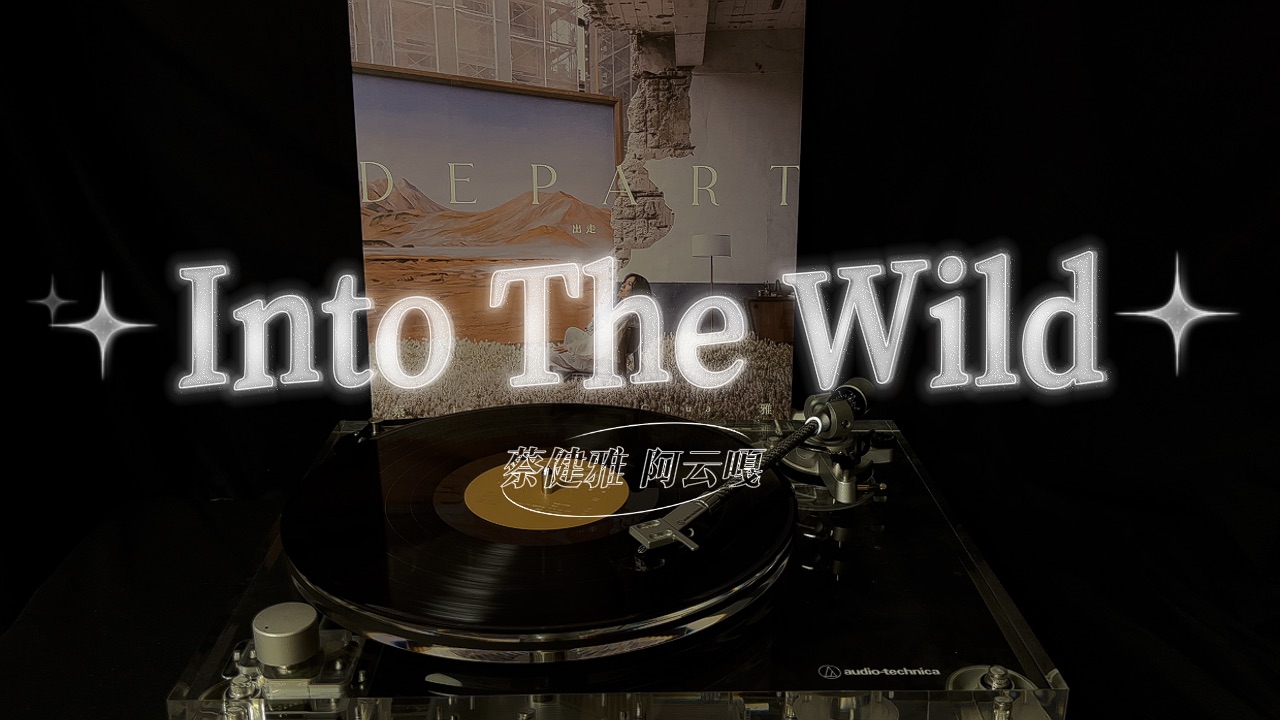 蔡健雅黑胶试听《into the wild》with 阿云嘎|专辑《depart》|4k/hi