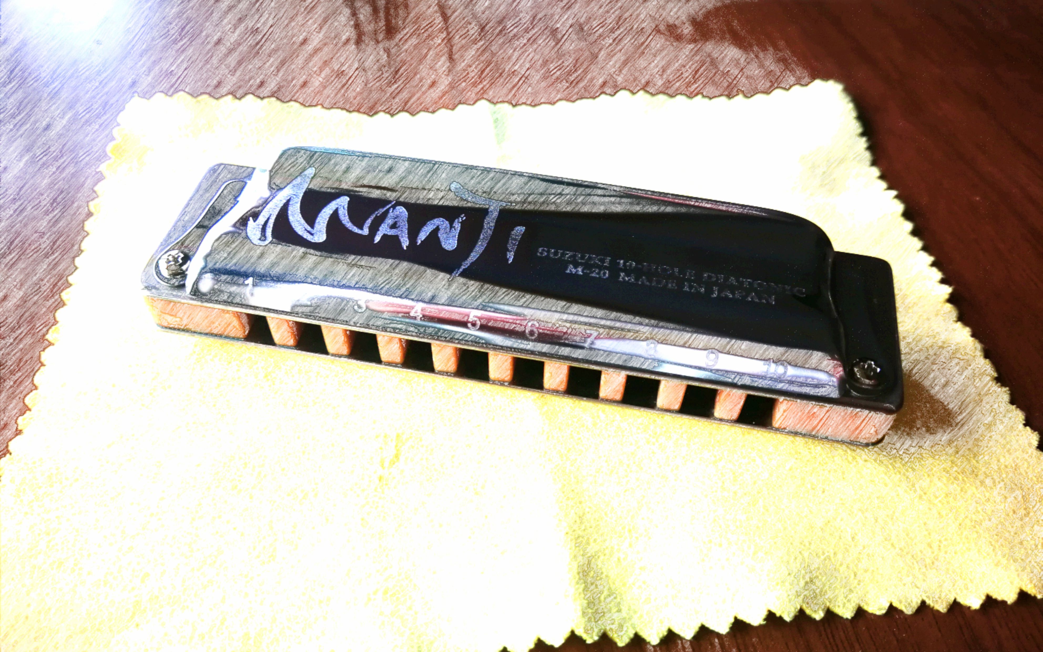 【十孔口琴】《风吹麦浪(the wind that shakes the barley)》【附