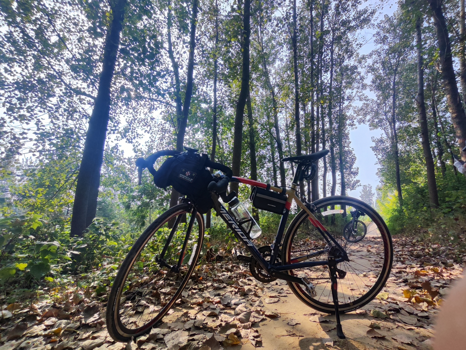 喜提新车美利达幻影2,老规矩一个赞1km,一个币5km