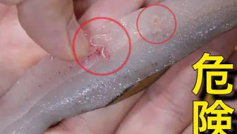 自制字幕 海鲜小哥金子 寄生虫放进油里炸 隔壁小孩都馋哭了 哔哩哔哩 Bilibili