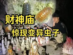 Download Video: 财神庙的变异鼠妇