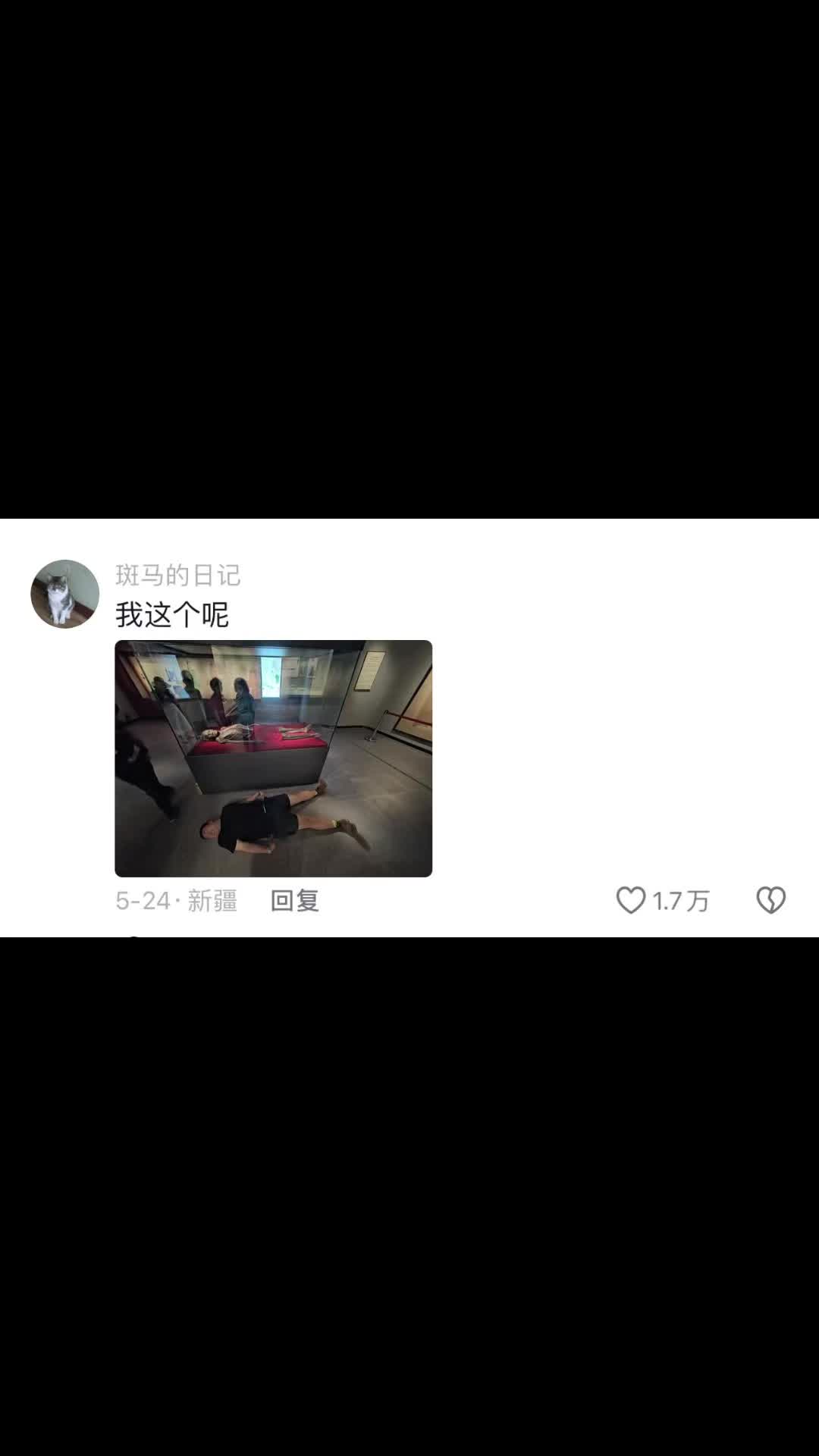 评论区摄影作品毒辣点评!哔哩哔哩bilibili