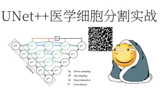 UNet++医学细胞分割实战