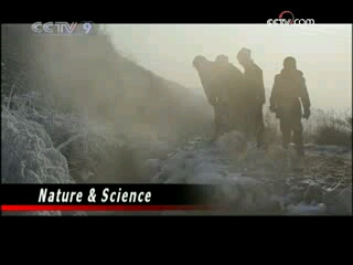 [图]Nature&Science 2009-05-31