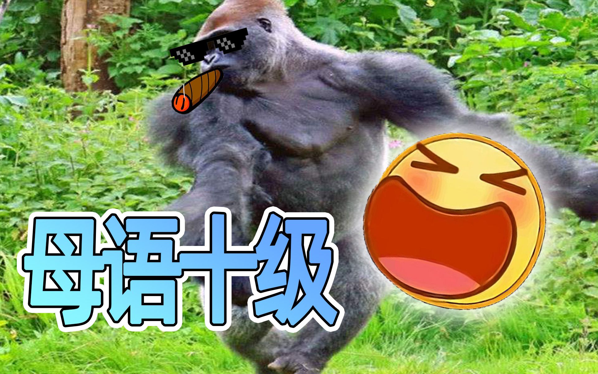 母语十级地表最强驯兽师的荒岛之旅