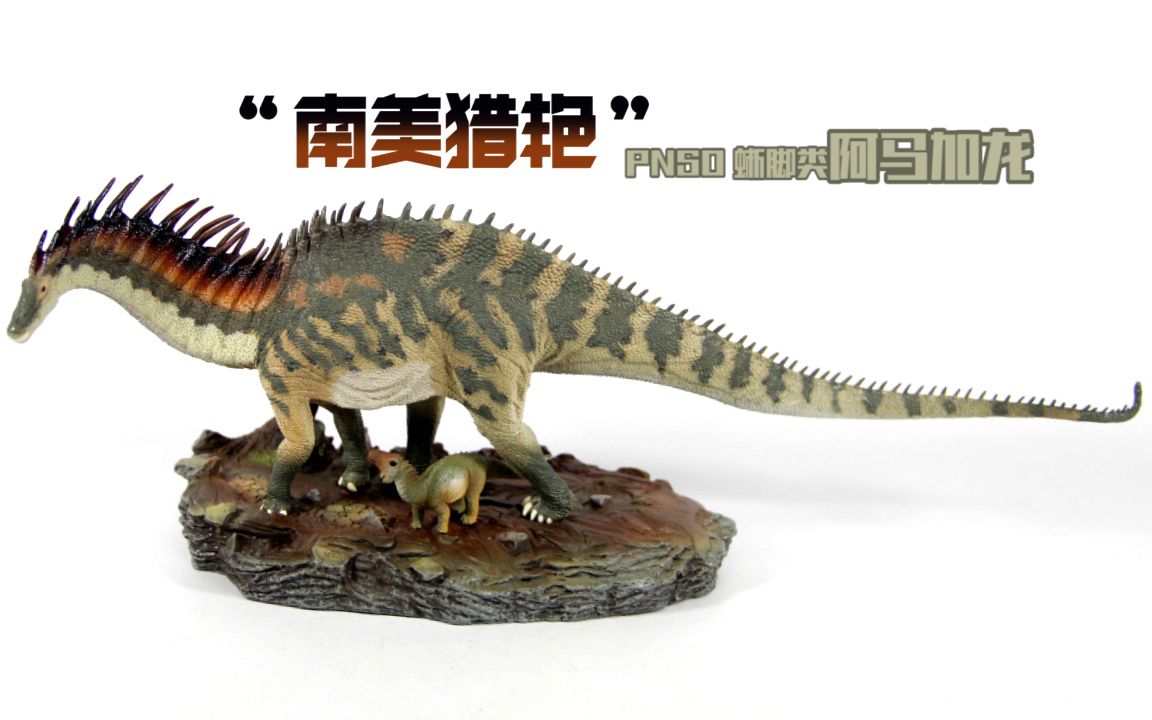 蝎子的模玩分享46:pnso"奇葩"蜥脚类阿马加龙