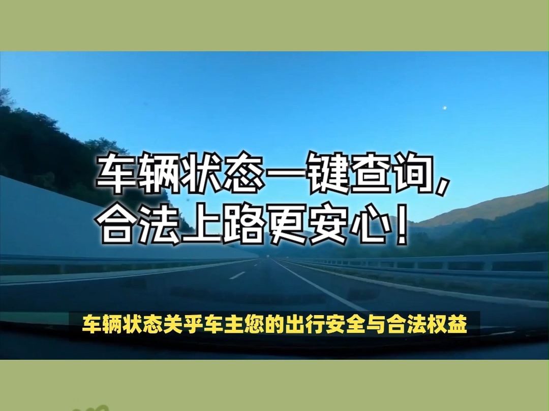 车辆状态一键查询,合法上路更安心!哔哩哔哩bilibili