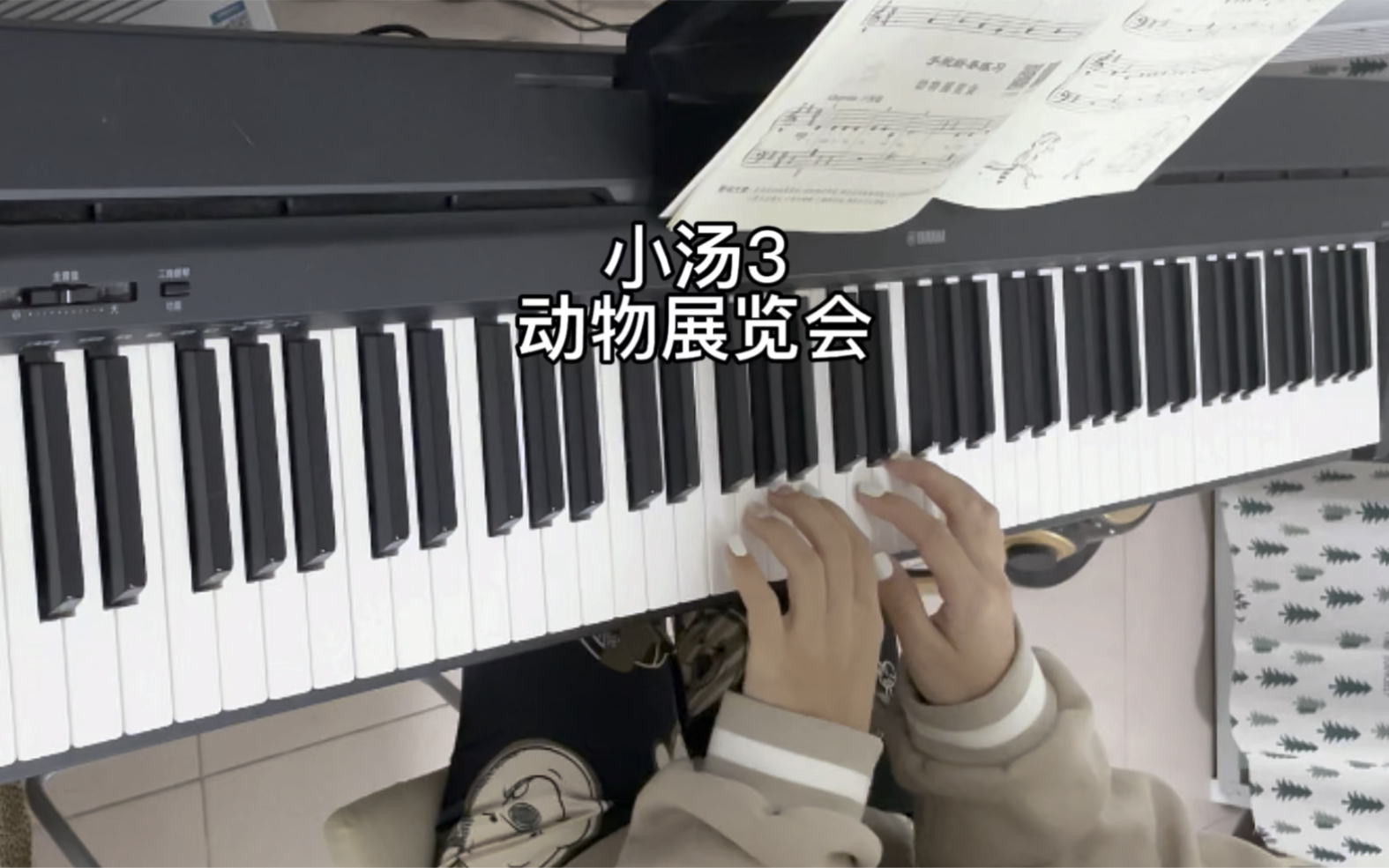 成年人零基础自学钢琴打卡 小汤3 动物展览会