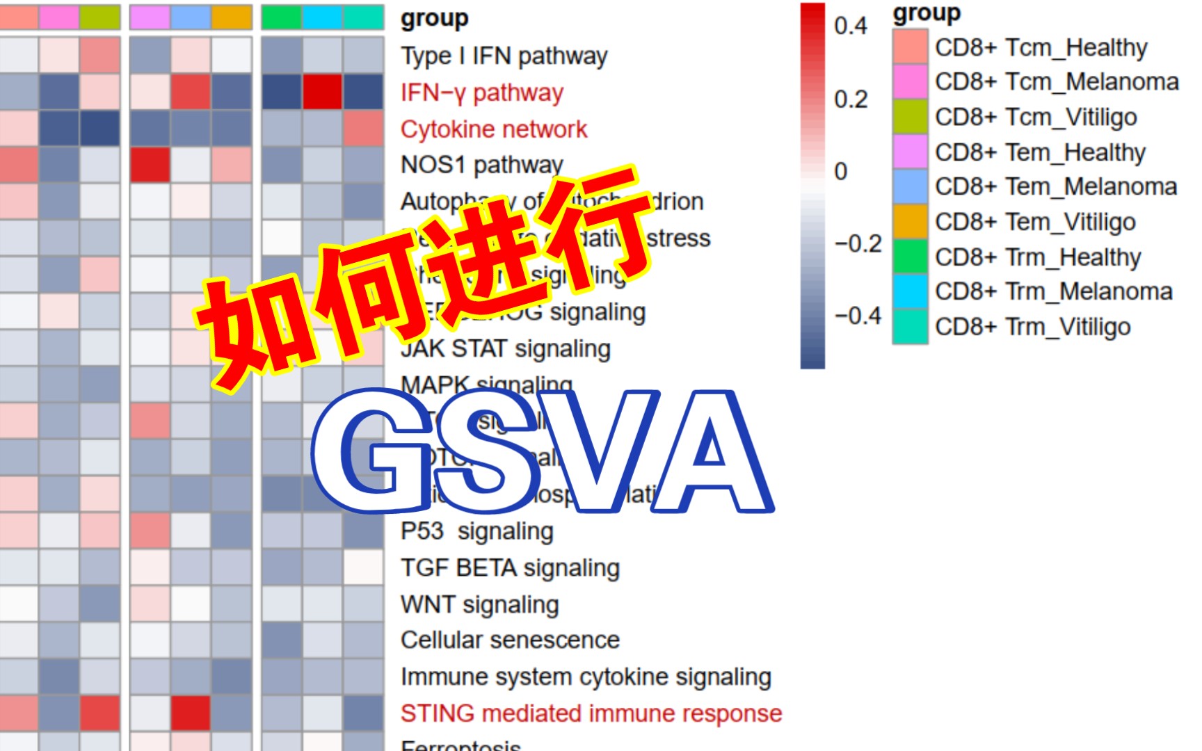 【医学生的单细胞指南】6.单细胞GSVA分析哔哩哔哩bilibili