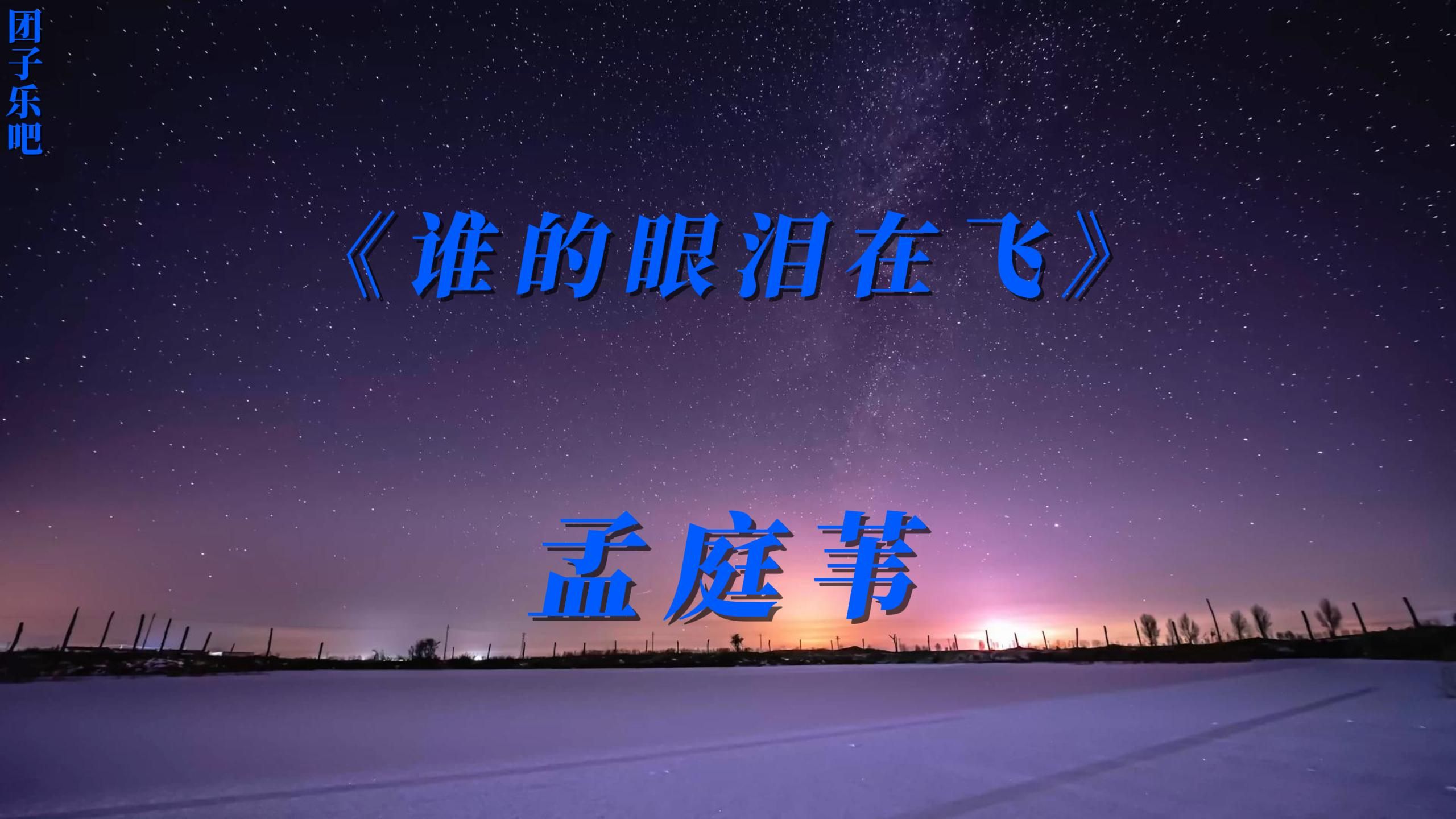 《谁的眼泪在飞》孟庭苇哔哩哔哩bilibili