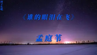 下载视频: 《谁的眼泪在飞》-孟庭苇