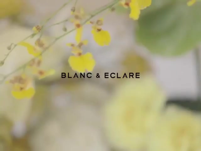 【郑秀妍】Blanc & Eclare 19 S/S Ready To Wear #collection #jessica哔哩哔哩bilibili