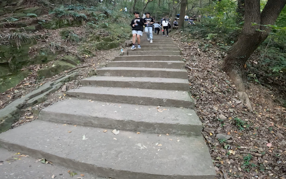 记录一下爬无锡惠山的旅程.野路,速通惠山.哔哩哔哩bilibili