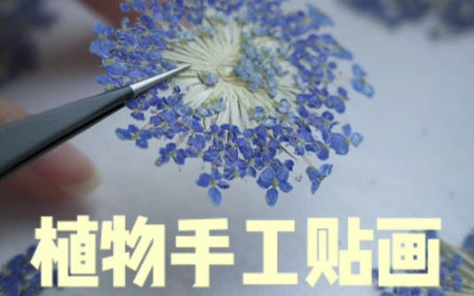 后续来啦!我把植物压花做成了碎花贴画想印一块碎花面料,帮看看做成什么好呢哔哩哔哩bilibili