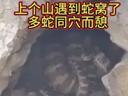 Tải video: 上个山遇到蛇窝了，这么多蛇应该价值不菲，好想一窝端了