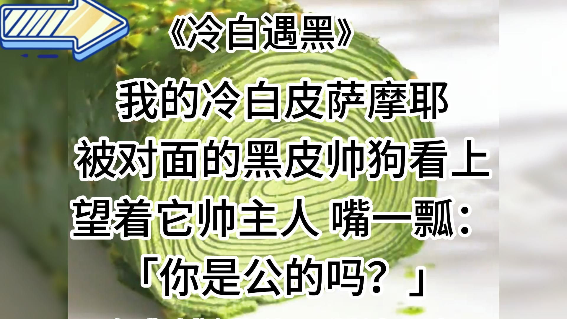 【知呼冷白遇黑】搞笑甜宠,这种男的到底都被谁谈了!都找不着哔哩哔哩bilibili