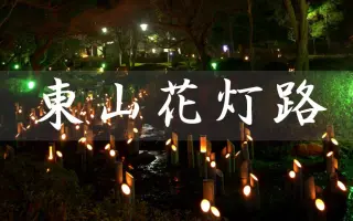 東山花灯路 哔哩哔哩 Bilibili