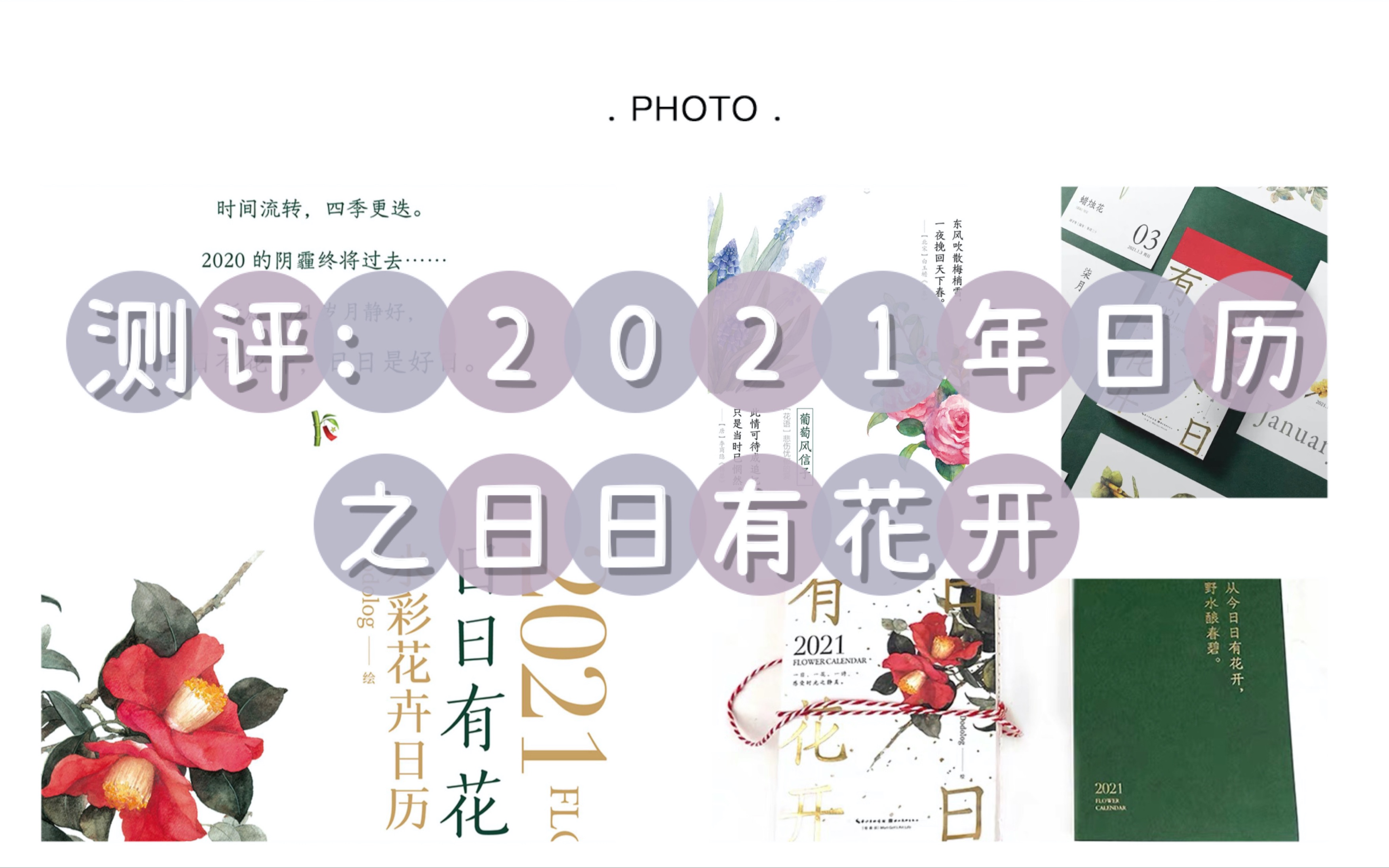 2021年日历之日日有花开日历哔哩哔哩bilibili