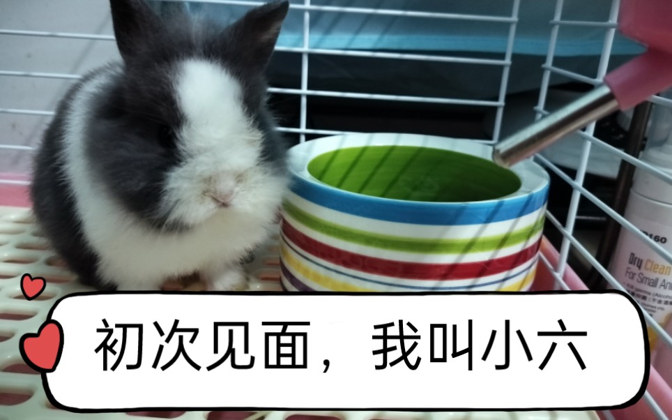 小六要健康长大哦!