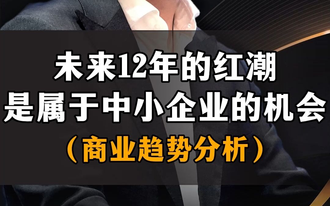 未来12年的红潮机遇是属于中小企业哔哩哔哩bilibili