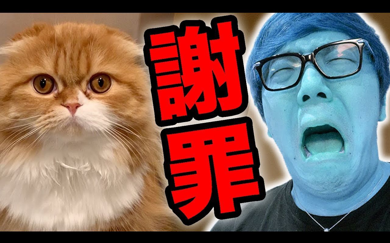 【hikakin tv】【熟肉】向mofuko谢罪,做了不得了的事情