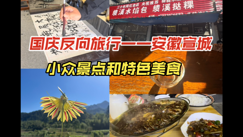 国庆vlog | 反向旅行第二站安徽宣城,绩溪县,特色美食水馅包和挞粿,小众景点龙川古镇和障山大峡谷哔哩哔哩bilibili