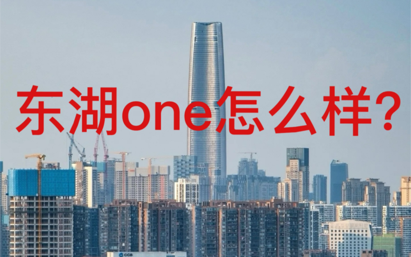 东湖one到底怎么样?哔哩哔哩bilibili