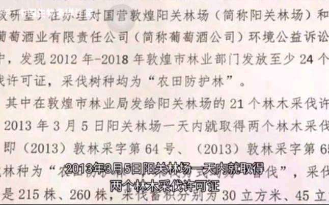 【追责!涉嫌违法发放林木采伐许可证丨敦煌阳关毁林案】哔哩哔哩bilibili