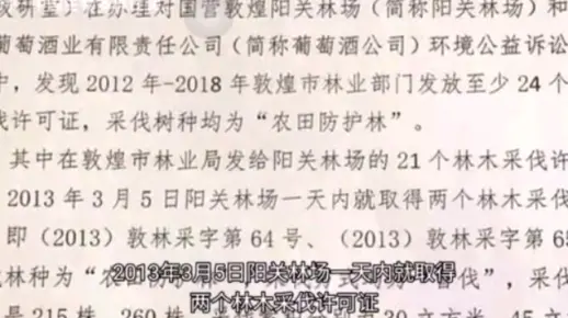 【追责！涉嫌违法发放林木采伐许可证丨敦煌阳关毁林案】