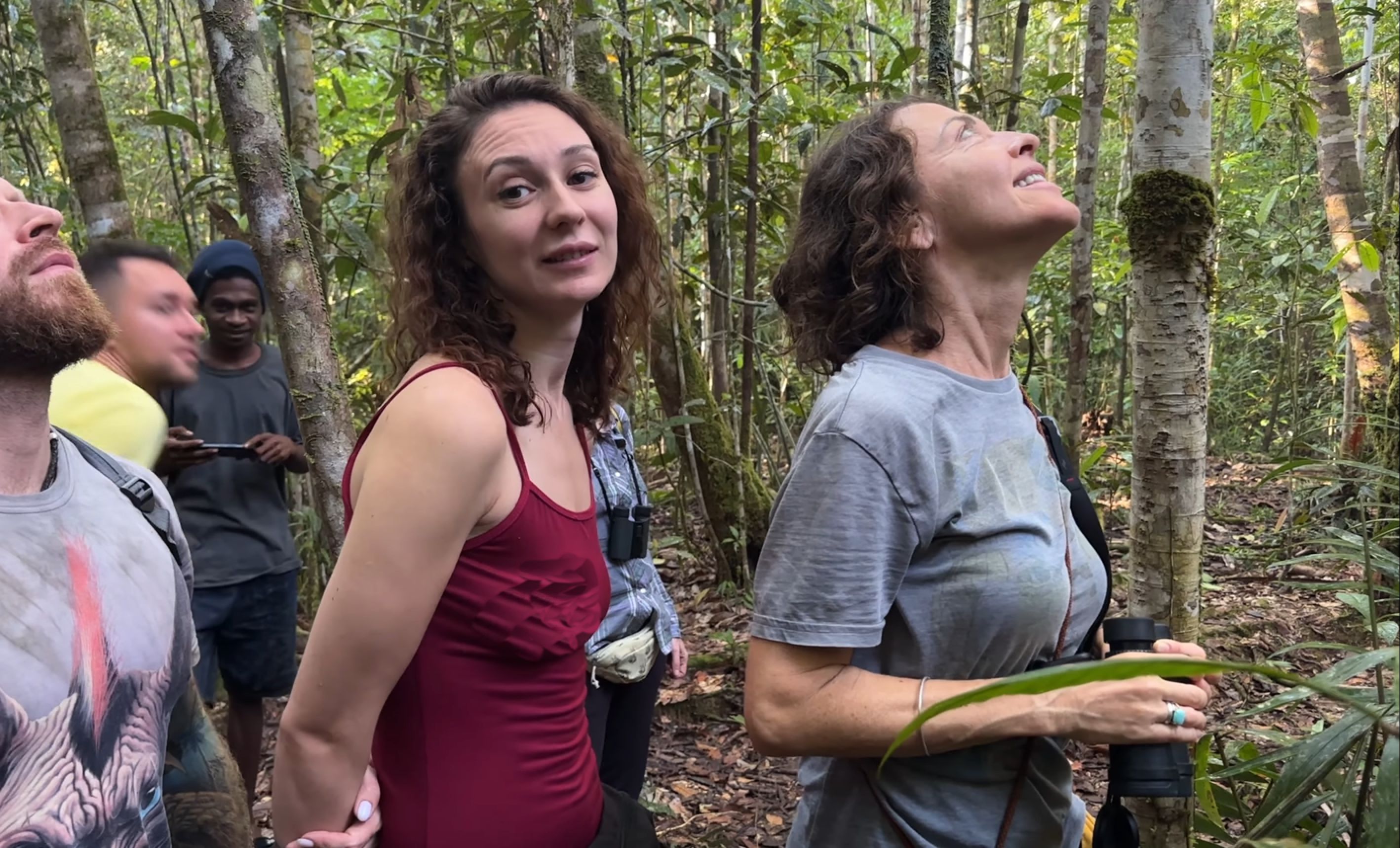 猞猁姐姐漫步在红树林中