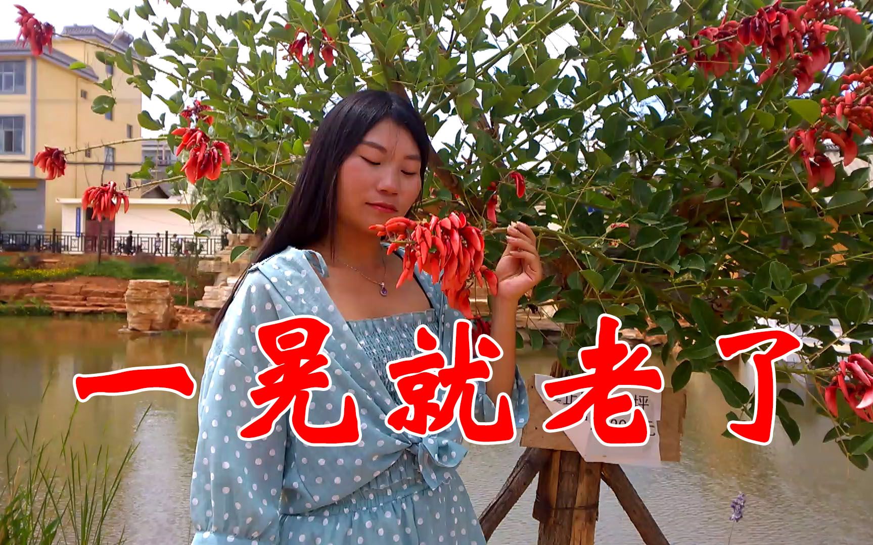 dj何鹏版一晃就老了人生太短暂转眼之间我们都已经老了
