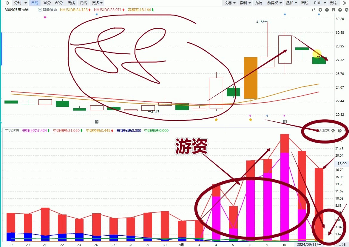 宝丽迪:机构游资纷纷抢筹,主力布局十倍空间?哔哩哔哩bilibili