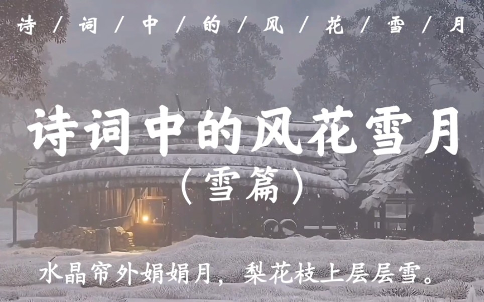 “拨雪寻春,烧灯续昼”|诗词中的风花雪月(雪篇)哔哩哔哩bilibili