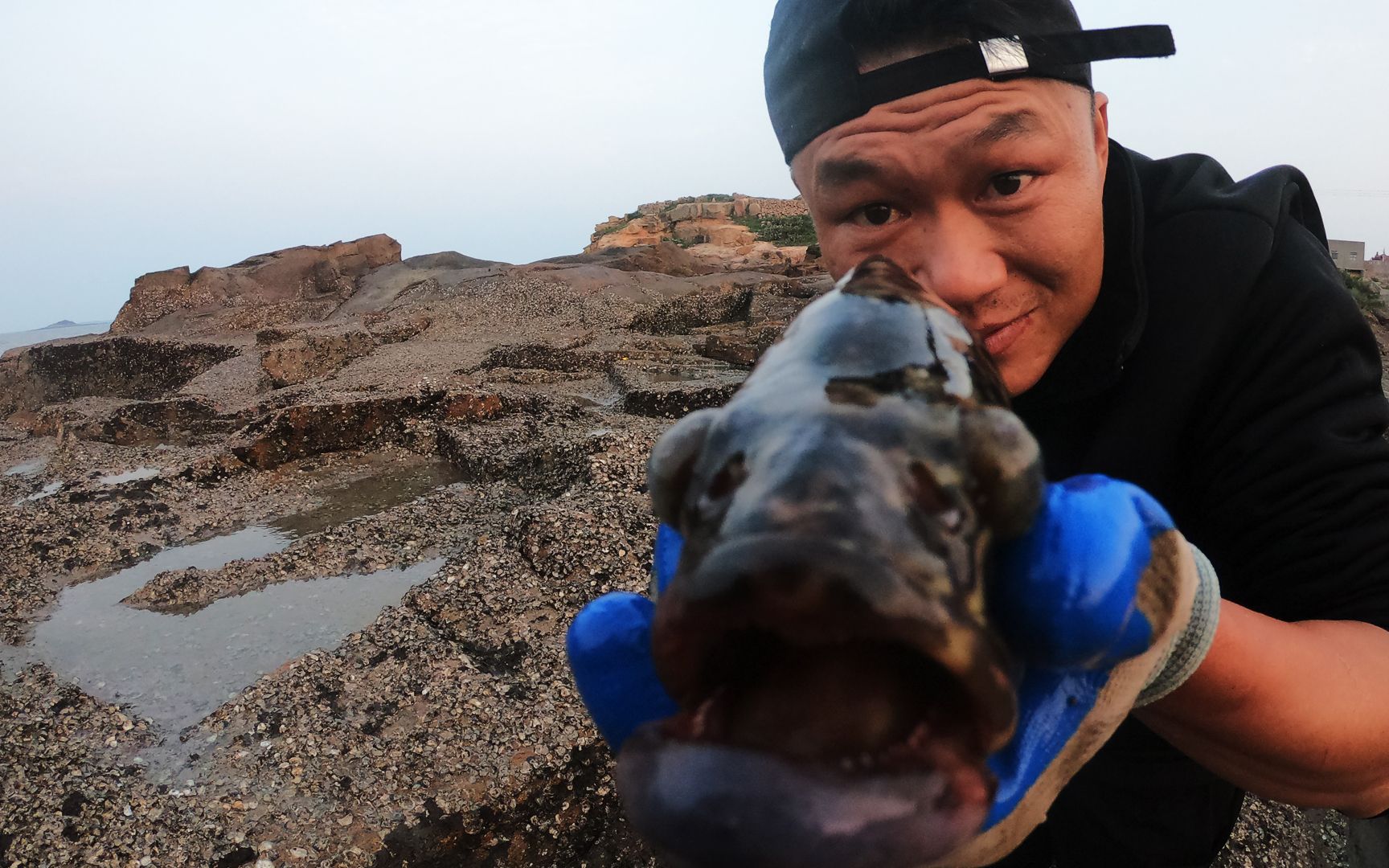 阿灶风浪天来海边赶海,水坑里黑影游动,捉到的海货能卖三四百_哔哩