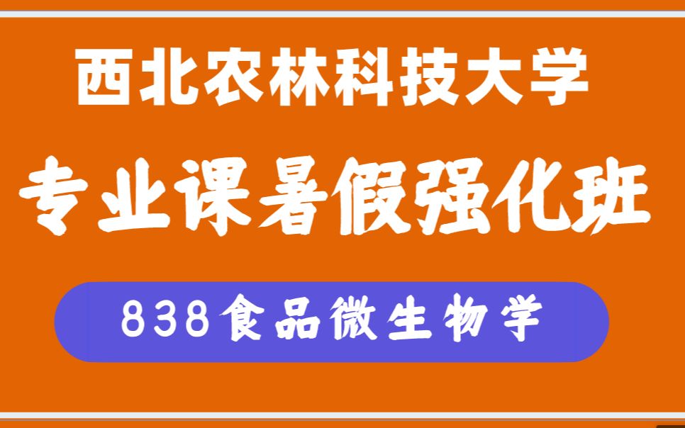 838食品微生物学|西北农林科技大学考研排名第3学姐专业课复习辅导西北农林科技大学2023考研西农食品考研哔哩哔哩bilibili