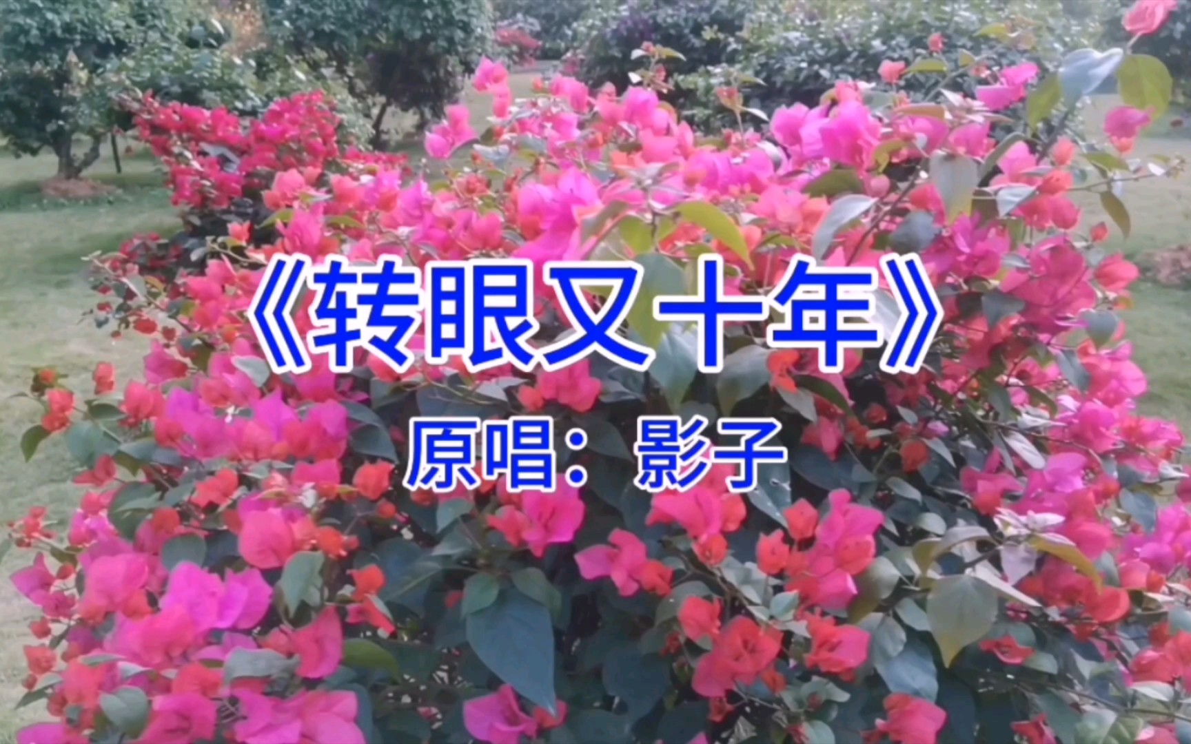 音乐欣赏《转眼又十年》