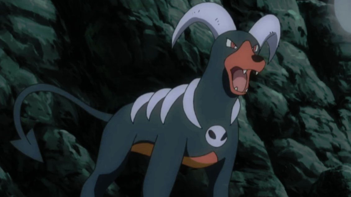 最大体型异色黑鲁加出货.2025年开年第一大货,挺好挺好