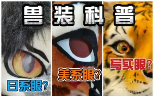 Download Video: 【fursuit兽装科普】这可能是你看过最详细的兽装眼睛科普了（跪