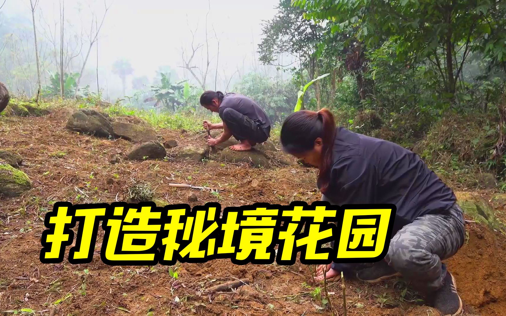 [图]热带雨林荒野生活，改造一片荒地，将它建造成美丽的后花园