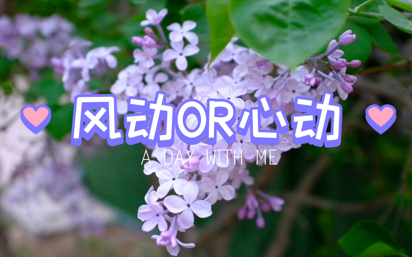 北方民族大学富士x100f风动or心动