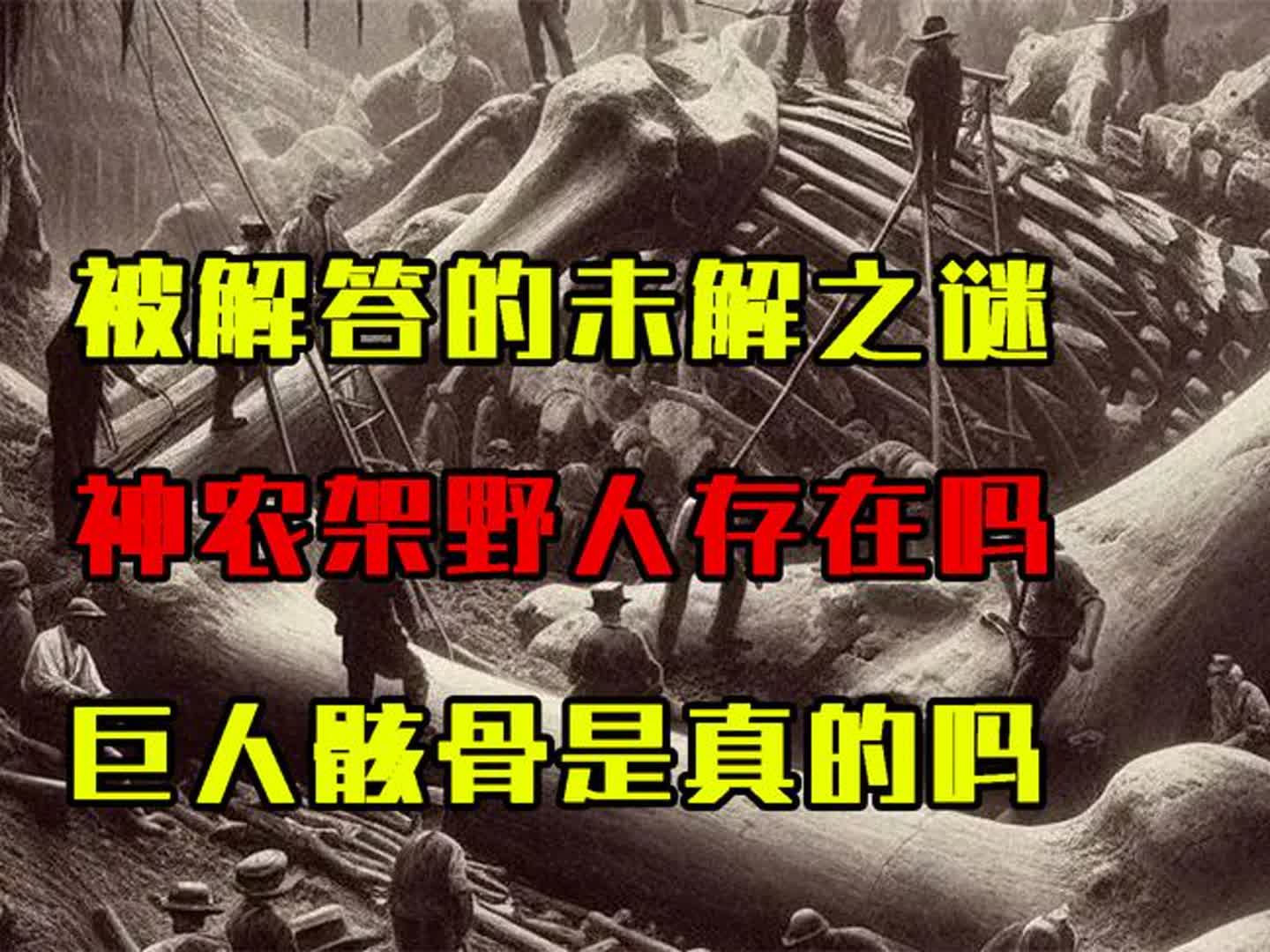 被解答的未解之谜有哪些:神农架野人存在吗?巨人骸骨是真的吗?哔哩哔哩bilibili