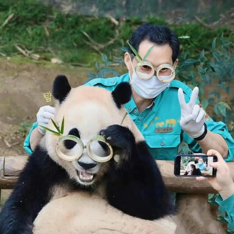 宋宝给福宝准备眼镜,哈哈.