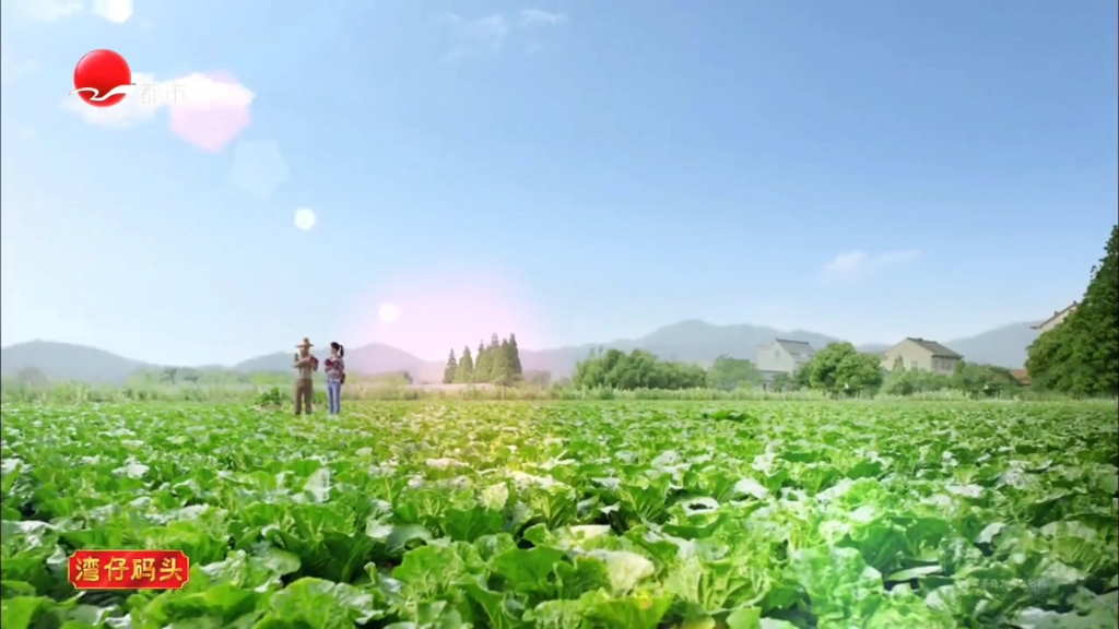 【美食ⷮŠ通用磨坊中国(重投)】湾仔码头多菜多益水饺  吃的健康,更有必要(上海星尚频道 今都市频道 百视TV重置版本)哔哩哔哩bilibili