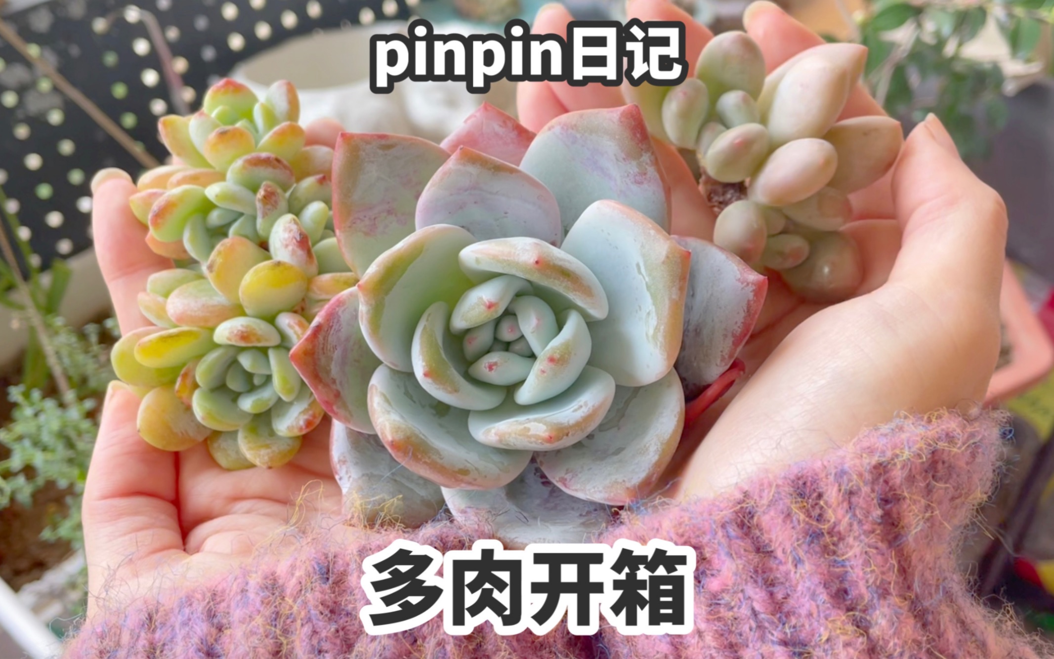 pinpin开箱视频,疑似开车(不是,疑似翻车哔哩哔哩bilibili