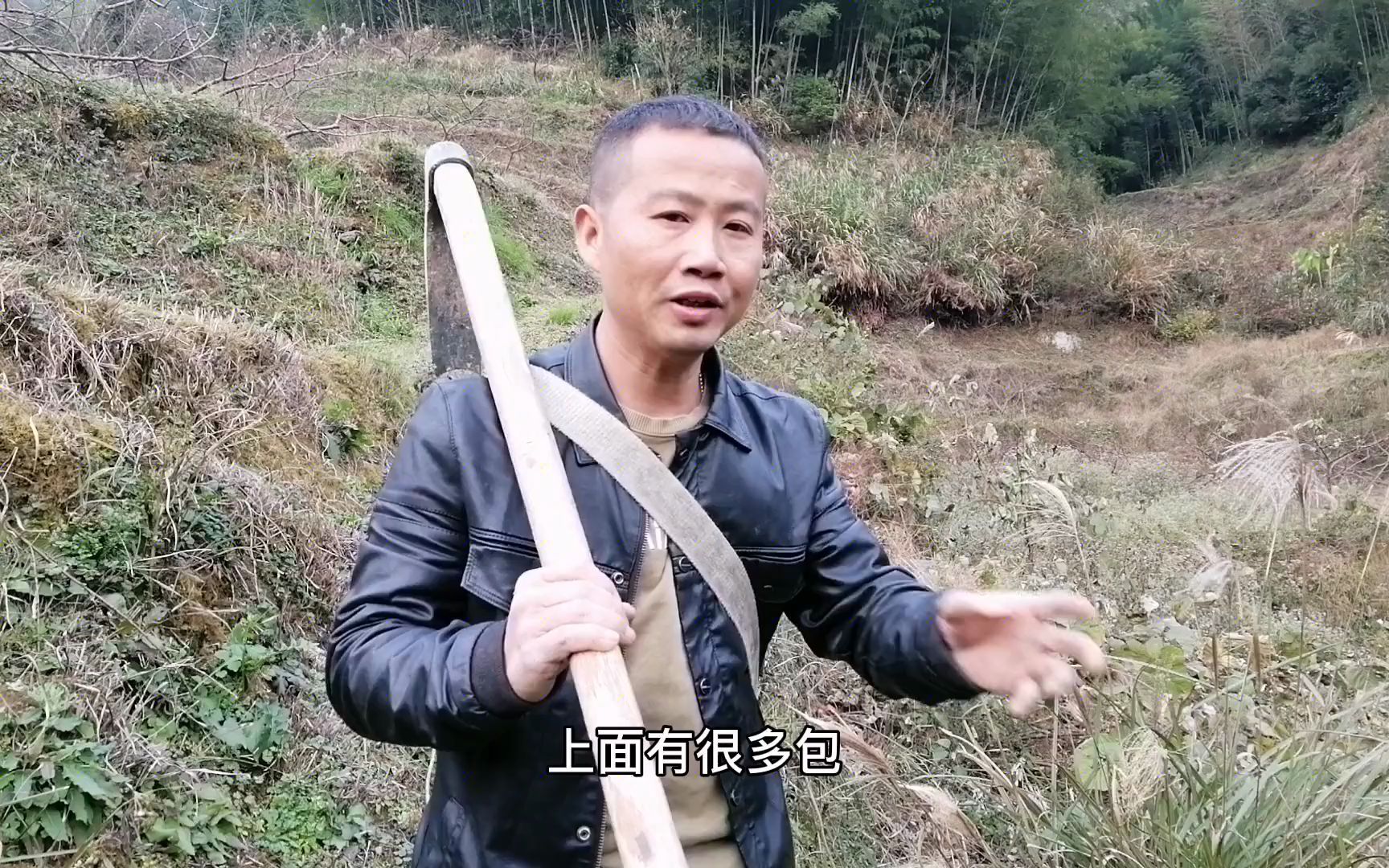 农村小伙路边看到葛根藤有包,发现野货“葛根虫”,女儿有口福了哔哩哔哩bilibili