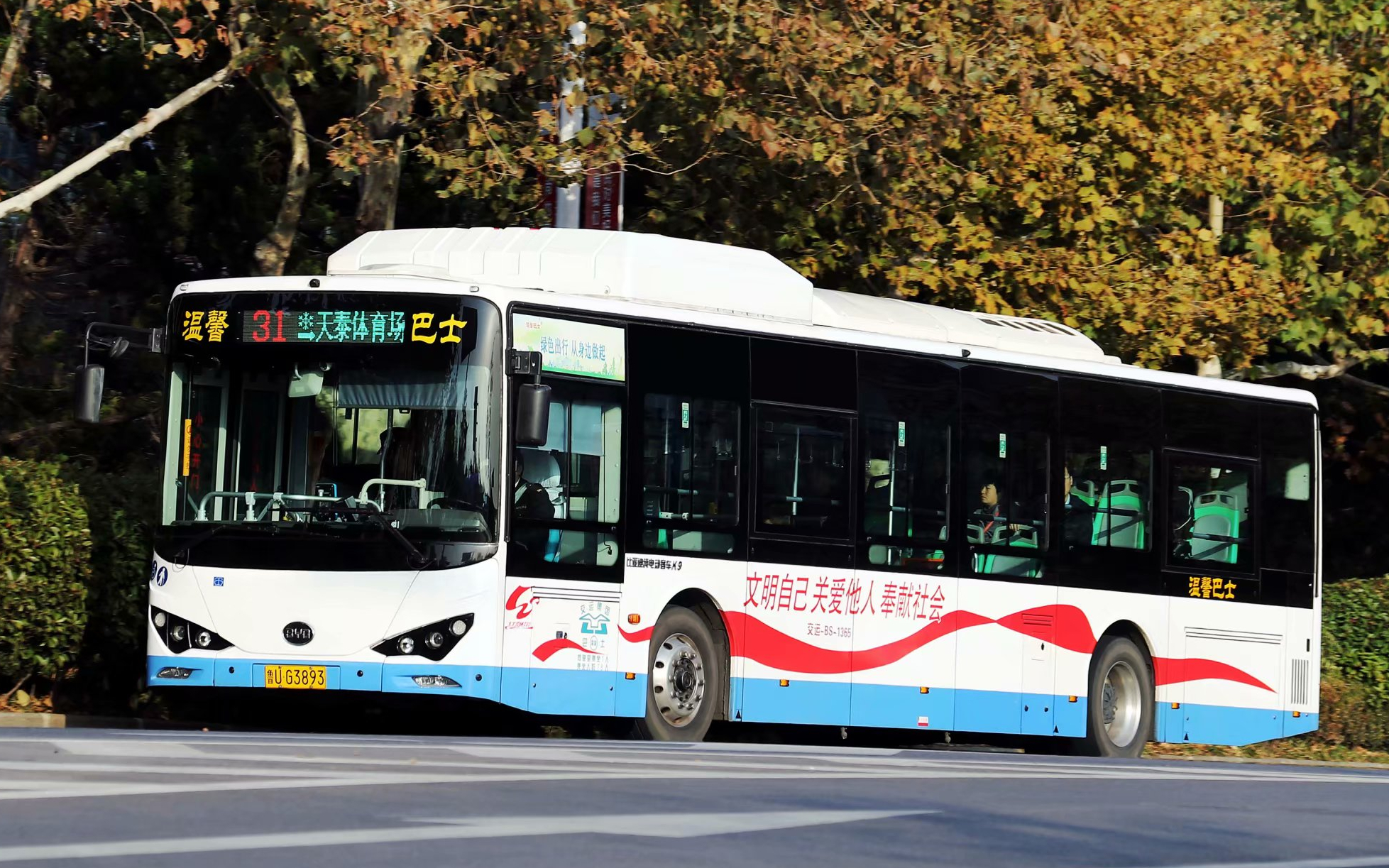 pov20一线游览青岛市南青岛交运温馨巴士31路天泰体育场②青岛大学