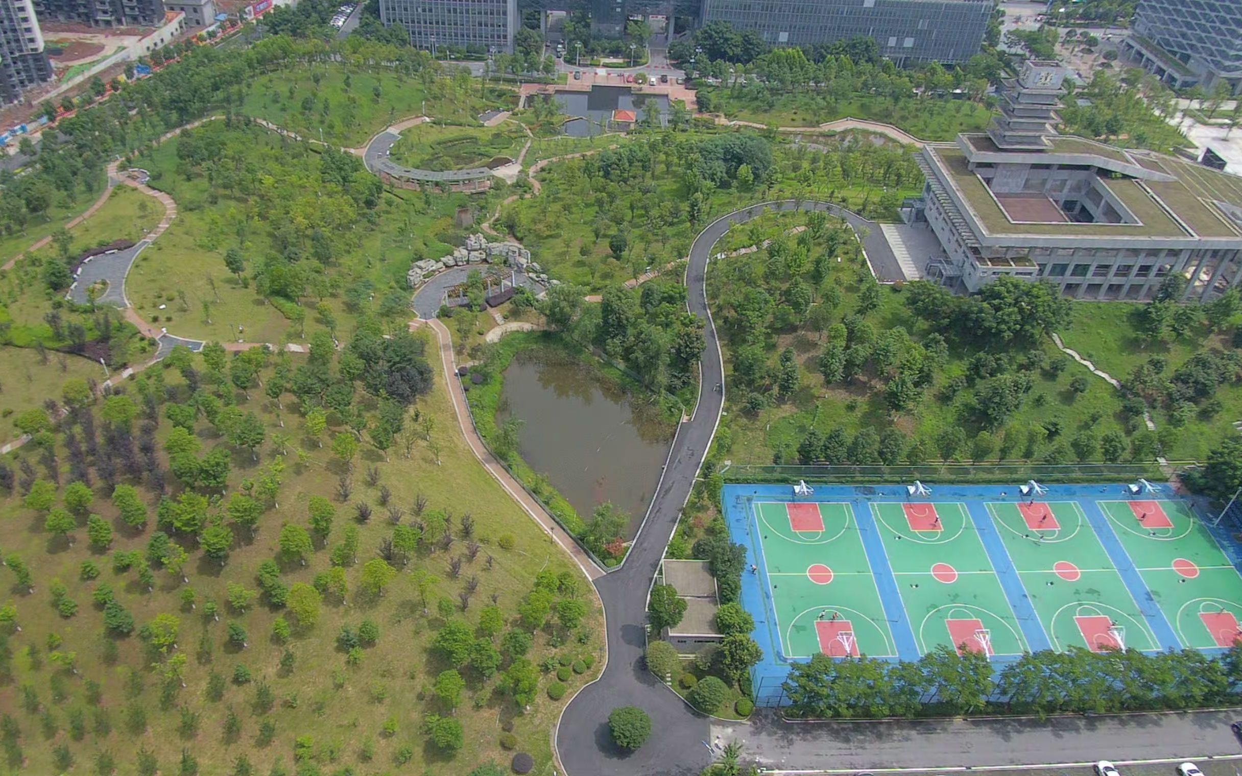 星沙文体中心后山公园