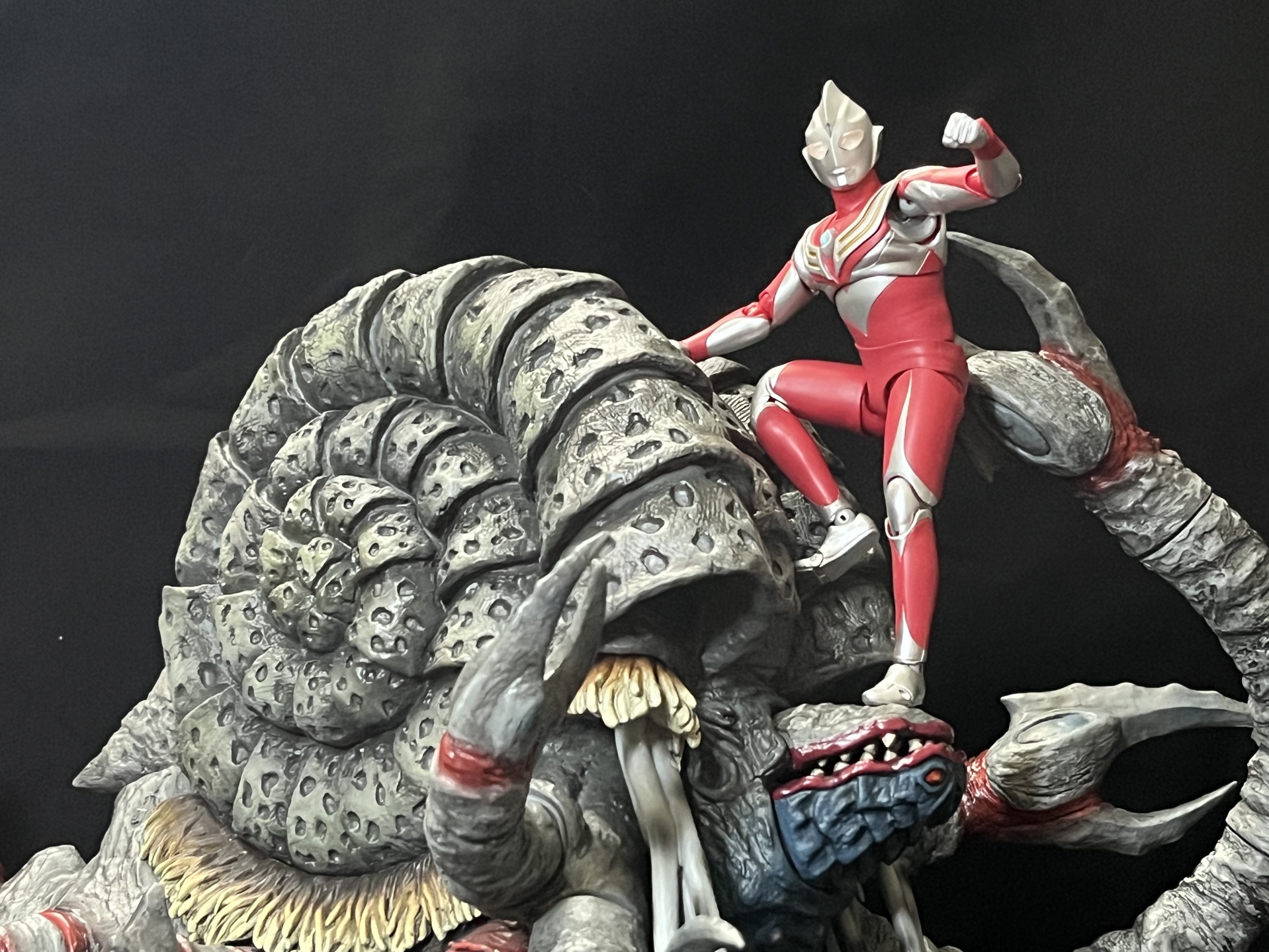 国产ccp加坦杰厄展示!致以辉煌的人!